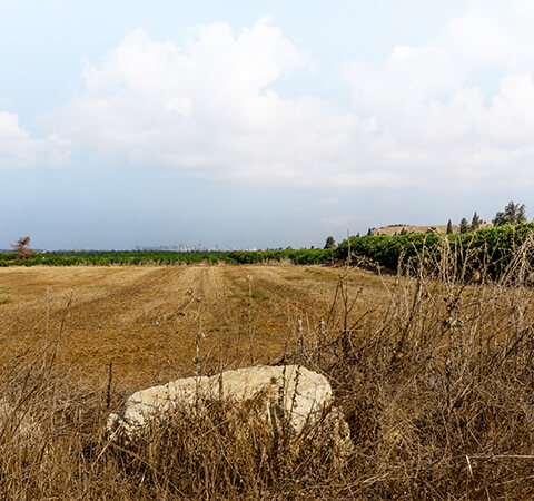 גוש 7658 - רעננה מובייל2